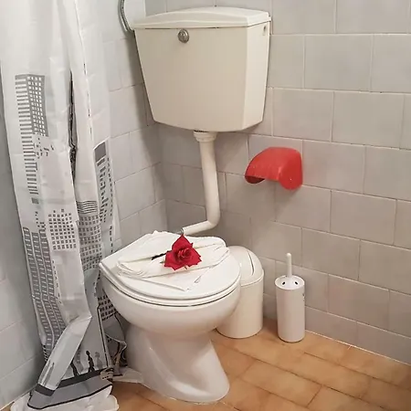 Apartamento Alitogatos *